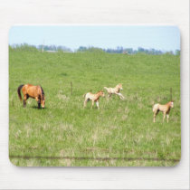 Wings of May: Horses mousepads