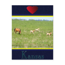 Wings of May: Horses postcards by SuanSilverTree Wings of May: Horses postcards