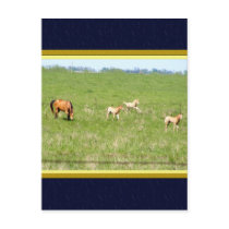 Wings of May: Horses postcards by SuanSilverTree Wings of May: Horses postcards