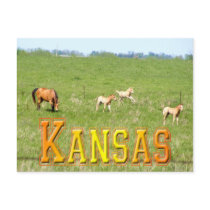 Wings of May: Horses postcards by SuanSilverTree Wings of May: Horses postcards