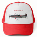 Wings of Storm Cap hat