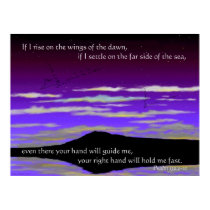 Wings of the Dawn posters