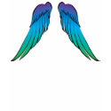 Wings on Back t-shirts