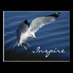 Wings Over Pennsylvania Post Card postcards