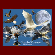 WINGS OVER THE WILDERNESS posters by RavenSpiritPrints WINGS OVER THE WILDERNESS posters