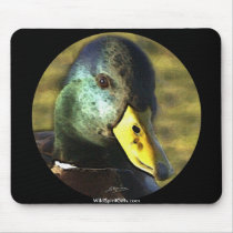 WINGS OVER THE WILDERNESS Series Mousepad