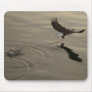 Wings Over Water (W.O.W.) Mouse Mats