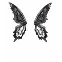 Wings (shirt back)