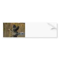 Wings Up Bumper Stickers