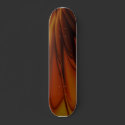 Wingz Skateboard