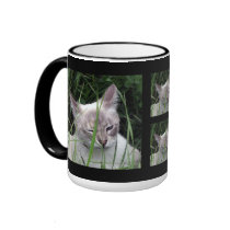 Winking Cat Mugs