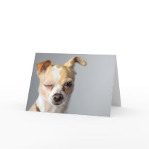 Winking Chihuahua Greeting Card by DLUXE_08 Winking Chihuahua Greeting Card