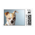 Winking Dog postage