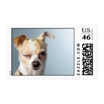 Winking Dog postage