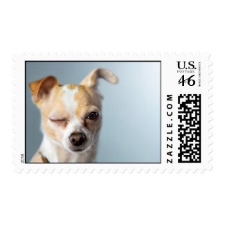 Winking Dog stamp
