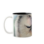 Winking Owl Mugs