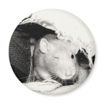 Winking Rat magnets by sally7466 Winking Rat magnets