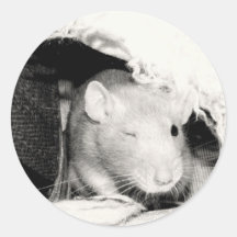 Winking Rat! Stickers