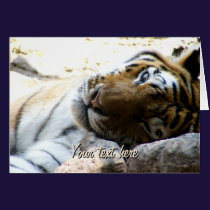Winking Tiger cards