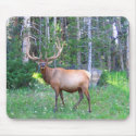 Winkypad mousepads by captphrank Winkypad mousepads