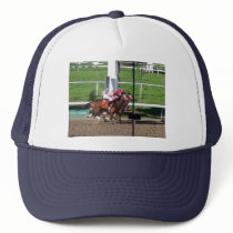 Winner By A Nose Hat by greatphotos Winner By A Nose Hat