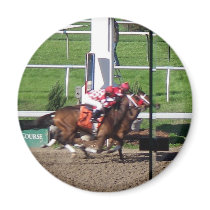 Winner By A Nose Magnet by greatphotos Winner By A Nose Magnet