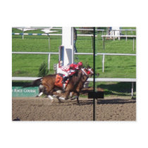 Winner By A Nose Postcard by greatphotos Winner By A Nose Postcard