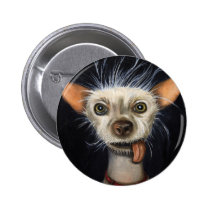 Winner of the Ugly Dog Contest 2011 buttons