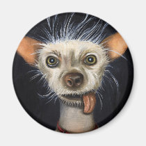 Winner of the Ugly Dog Contest 2011 magnets