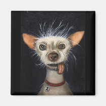 Winner of the Ugly Dog Contest 2011 magnets