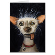 Winner of the Ugly Dog Contest 2011 cards