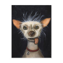 Winner of the Ugly Dog Contest 2011 Post Card