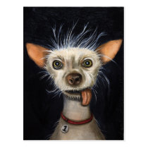 Winner of the Ugly Dog Contest 2011 postcards
