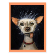 Winner of the Ugly Dog Contest 2011 postcards