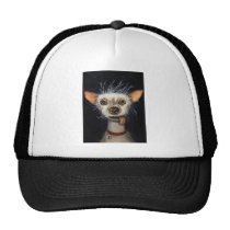 Winner of the Ugly Dog Contest 2011 hats