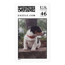 winnie postage by bonnievoyage winnie postage