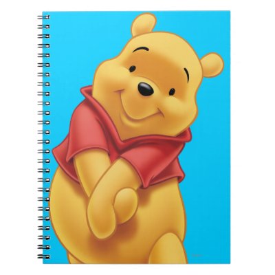 Winnie the Pooh 13 notebooks