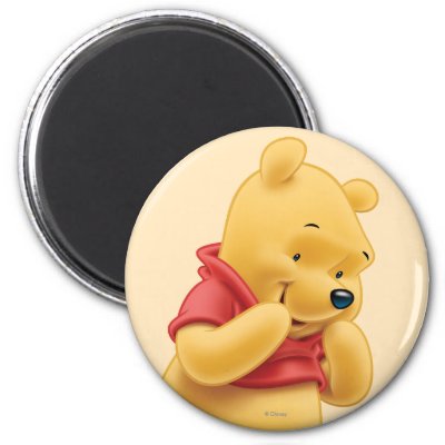 Winnie the Pooh 14 Fridge Magnets