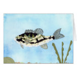 Winning art by  C. Saliga - Grade 4 Greeting Card