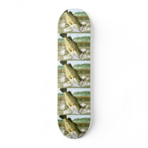 Winning art by  H. Walton - Grade 6 Skateboards