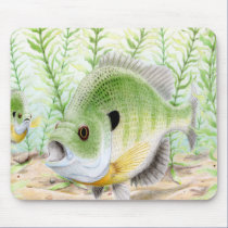 Winning art by  J. Pesik - Grade 12 mousepads