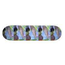 Winning art by  K. VonScheerSchmidt - Grade 5 Custom Skateboard
