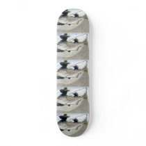 Winning art by  W. Li  - Grade 6 Skate Deck