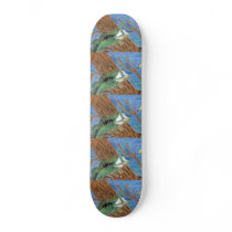 Winning artwork by H. Harp, Grade 4 Skate Board