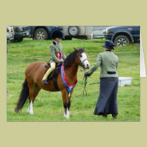 Winning Show Pony cards
