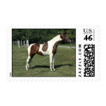 WinRidge Bold N Beautiful Stamp