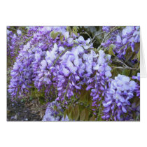 Winsome Wisteria Card cards