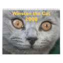 Winston the Cat 2008 calendars