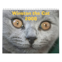 Winston the Cat 2008 calendars