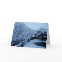 Winter 2 of 7 cards